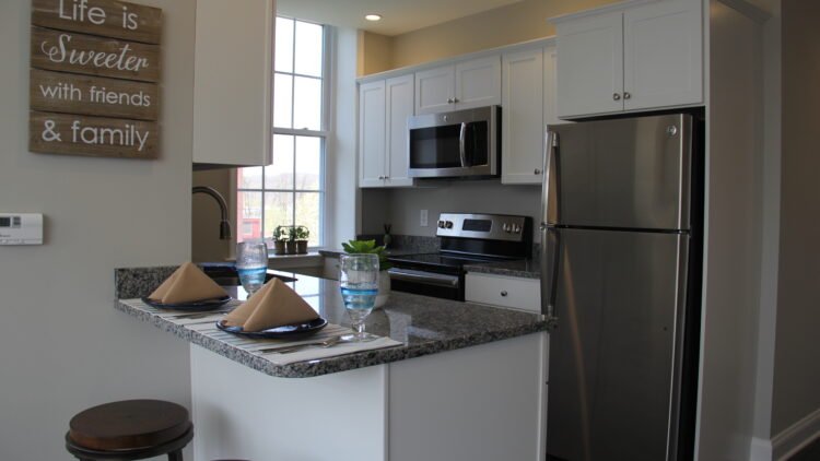 independent living apartment kitchen